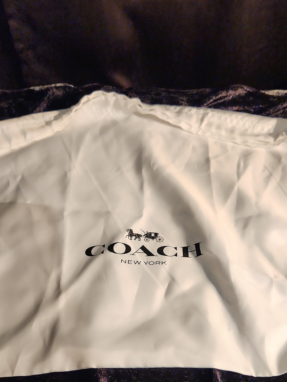 Coach Dust Bag